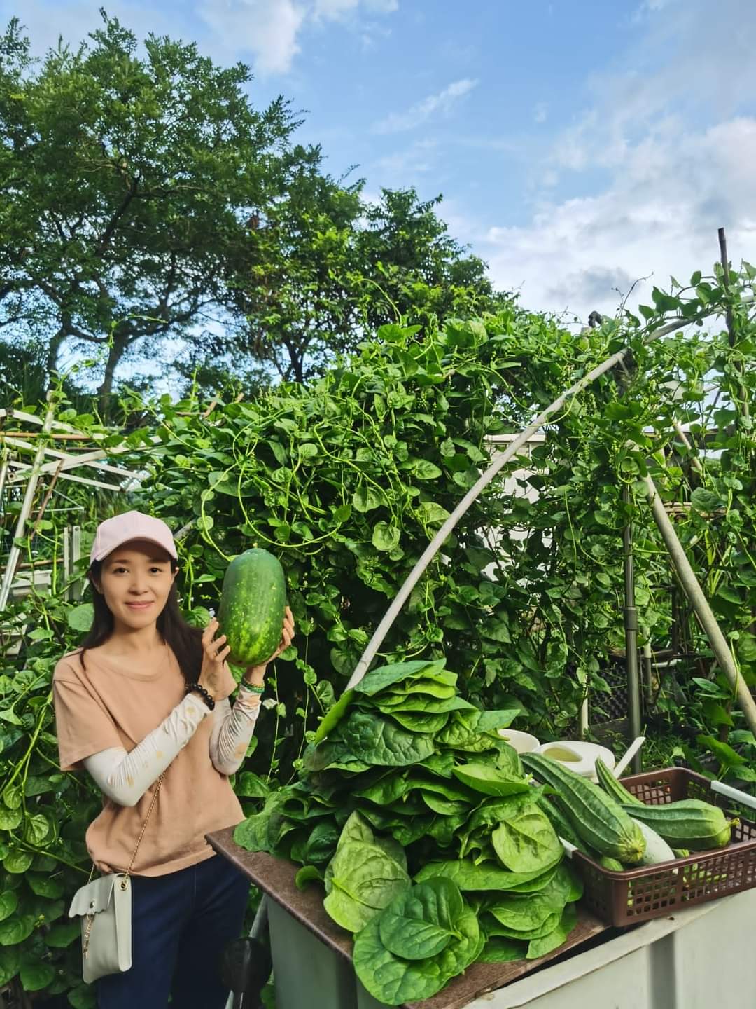 Summer Yeung 在田裏手捧新鮮收成的大冬瓜，旁邊是剛採摘的綠葉蔬菜