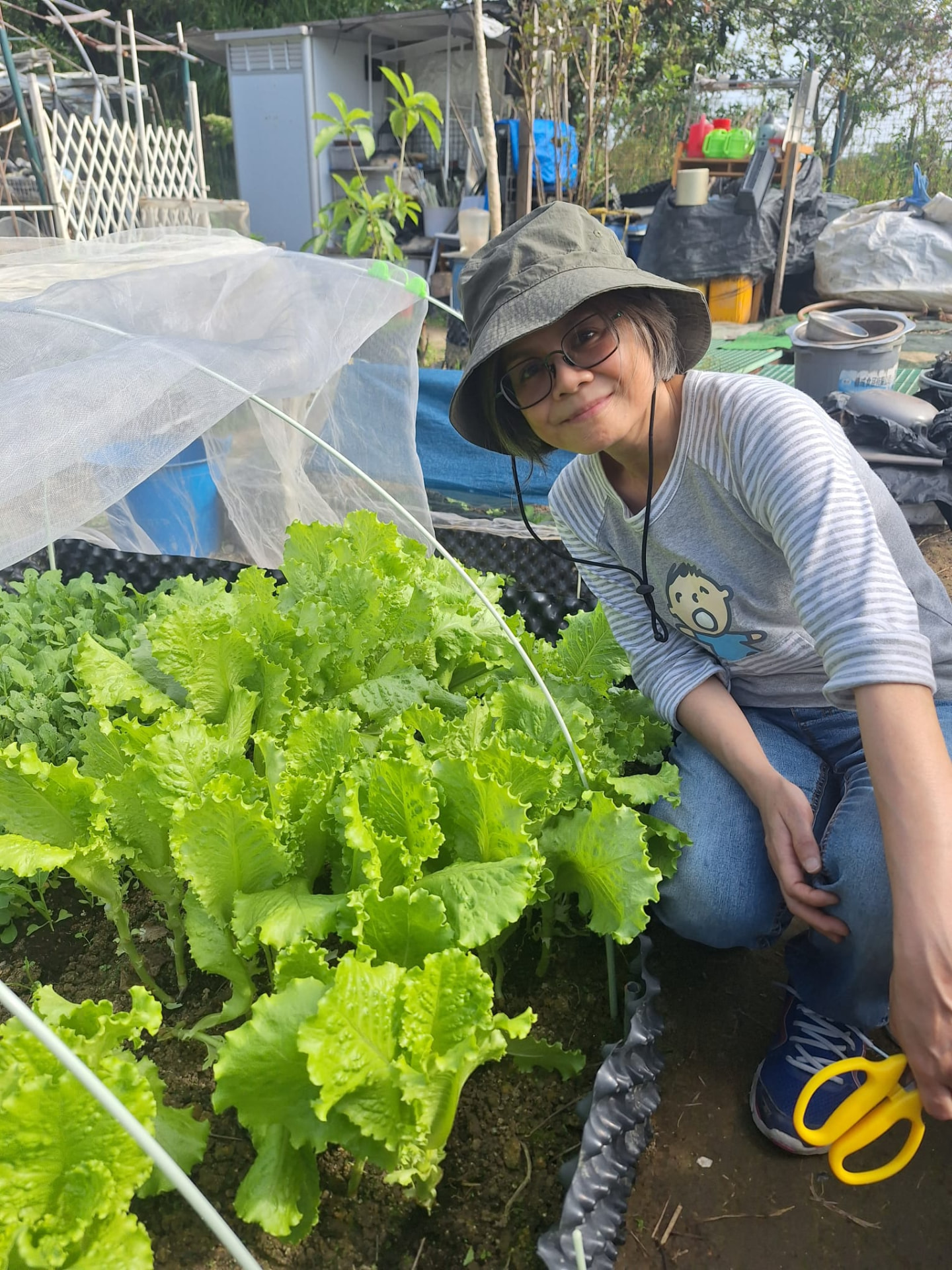 生菜長成了:蹲下來與自己種的生菜齊高,是這一季最實在的量度。