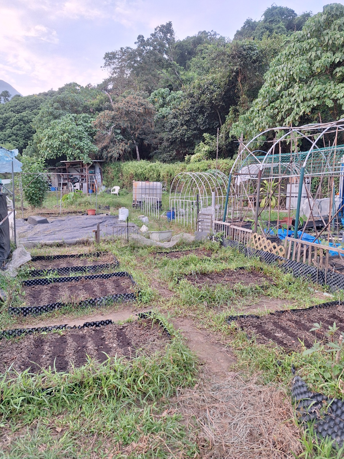 西貢農地的種植區與棚架，綠意盎然的自然田園