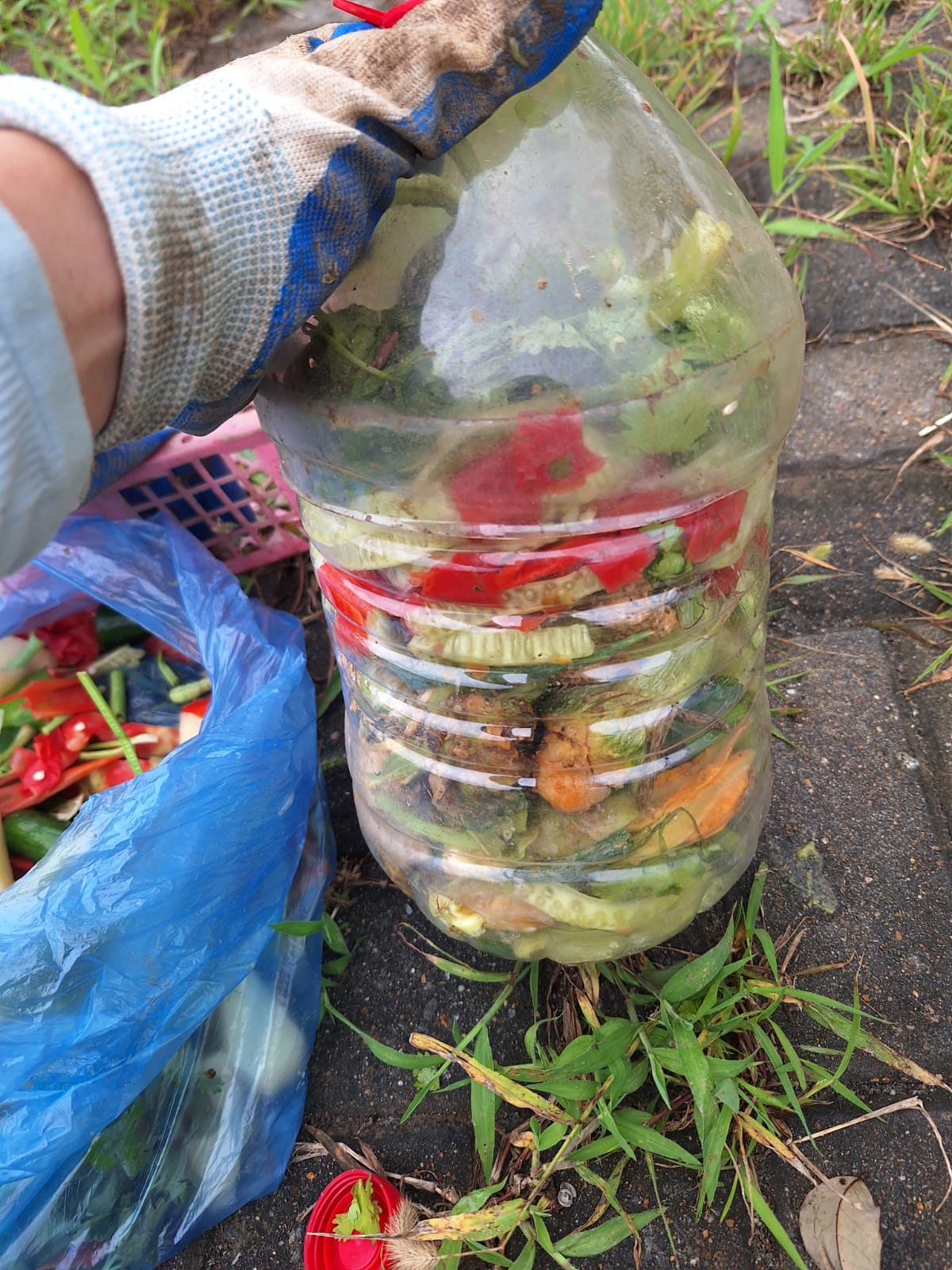 收集:家居與農場廚餘先做分類,去掉油鹽與肉類,切碎後入樽,方便計量與運送。