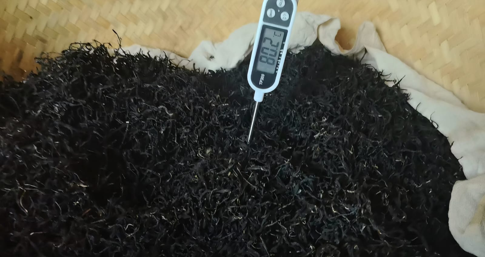 焙火監控