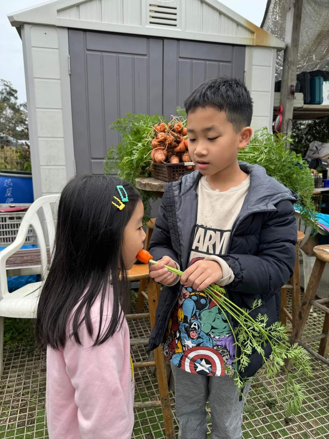 分享一口:孩子把自己種的紅蘿蔔分給同伴。