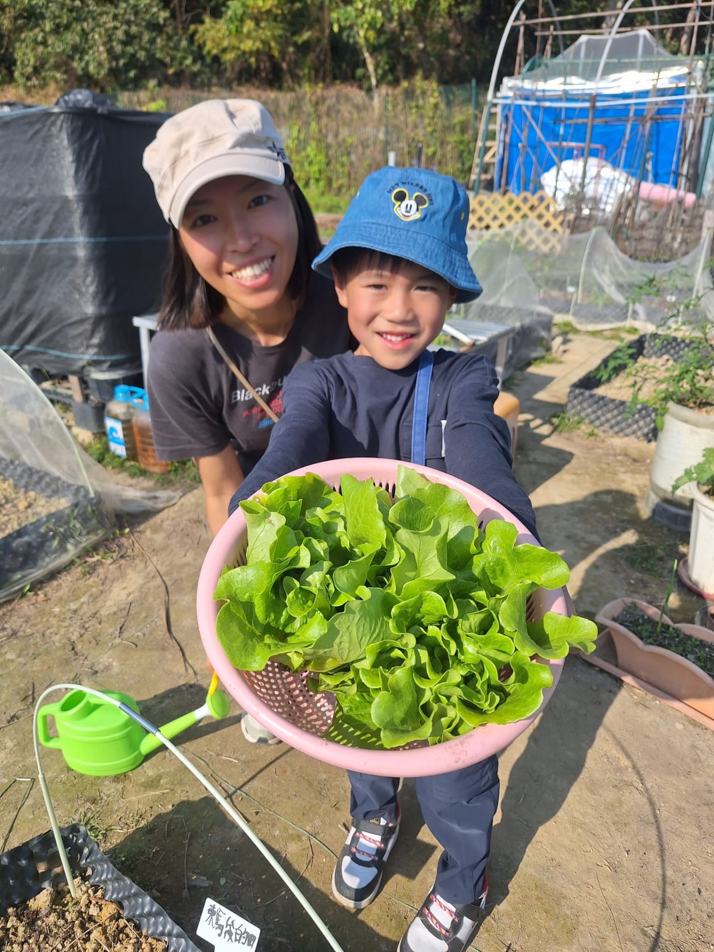 母子的一籃:一籃生菜是兩個人整季照顧的結果。
