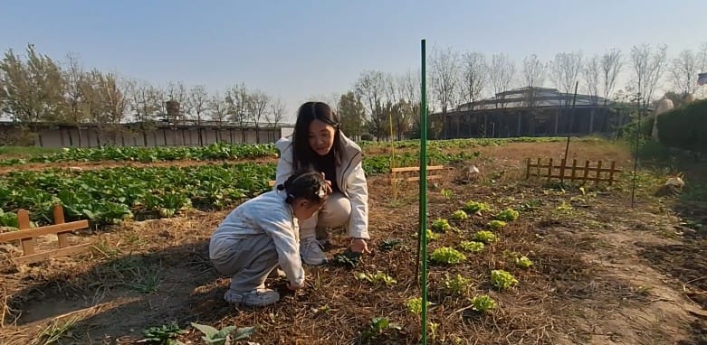 大人與小朋友蹲在田裏，細心觀察剛長出的菜苗