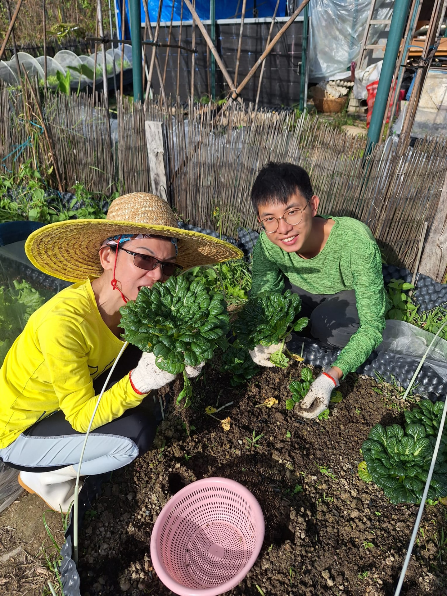 兩人一畦:學員兩人一組負責一塊畦床,由整地、下種到收成全程照顧。