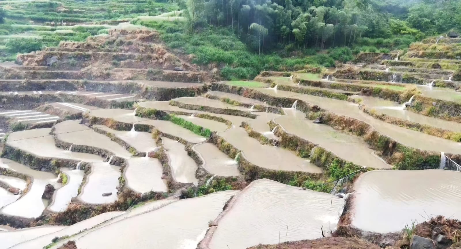 雨後的千層梯田