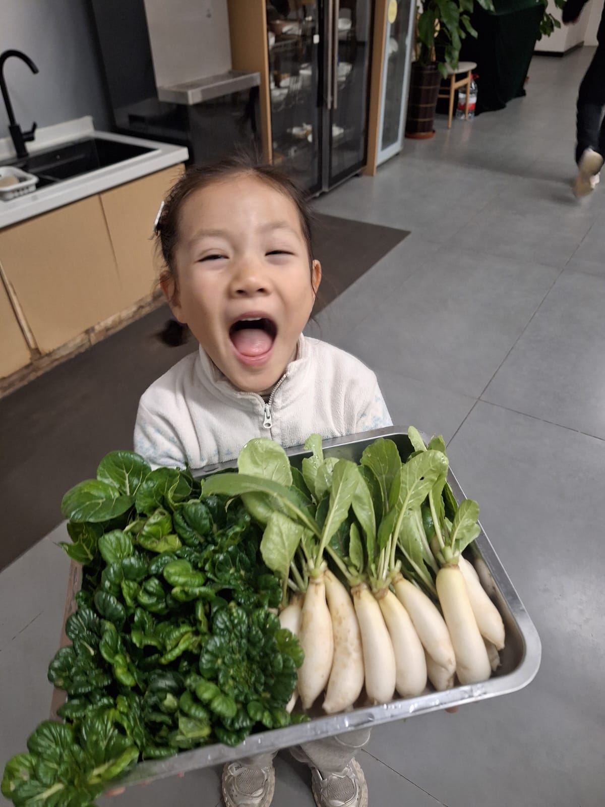 回到餐桌:蘿蔔與葉菜洗淨上桌,研究的終點是真正吃得到的食物。