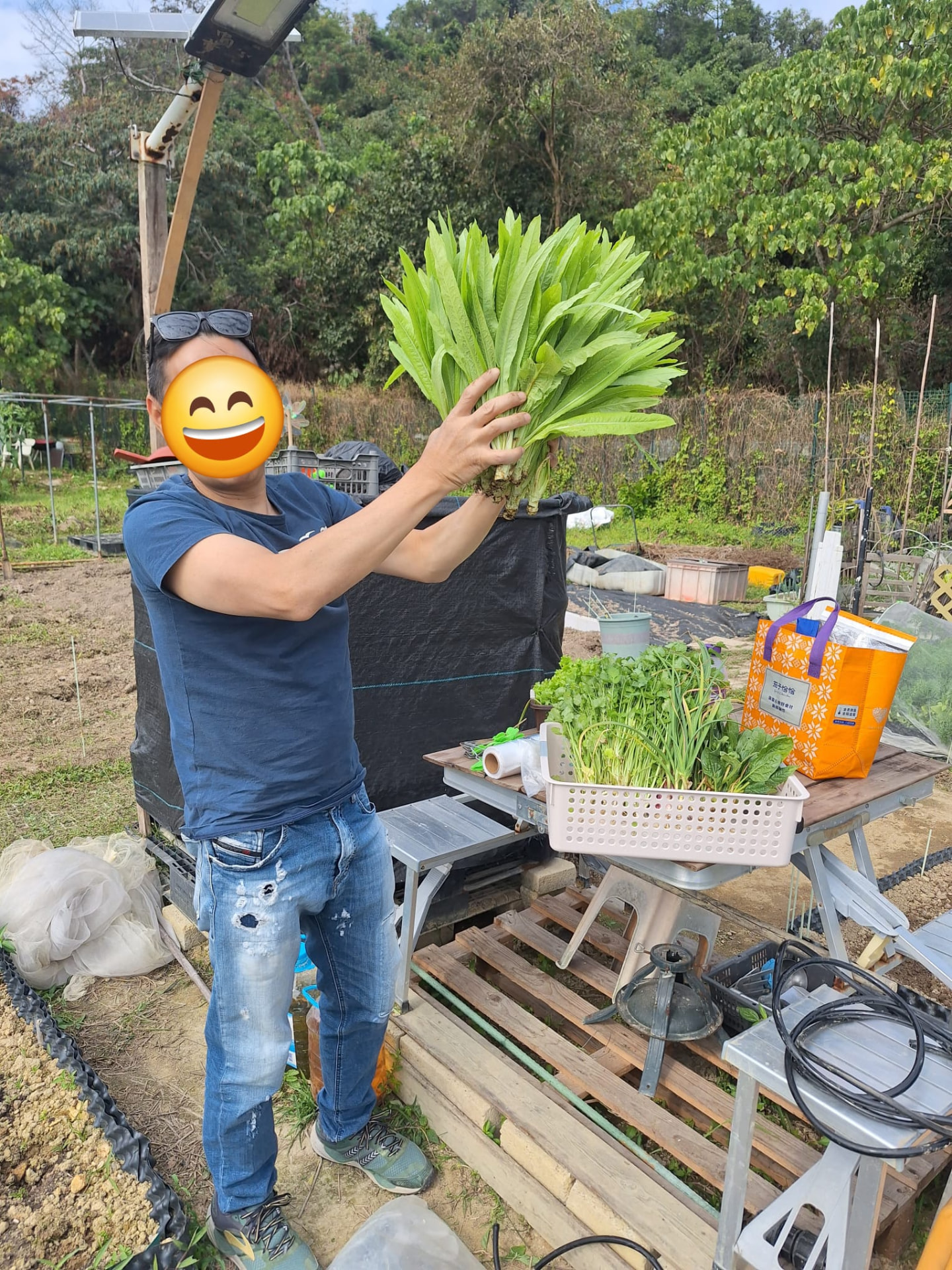 自己的一把:學員舉起親手種的青菜,這一把由播種算起約六十天。