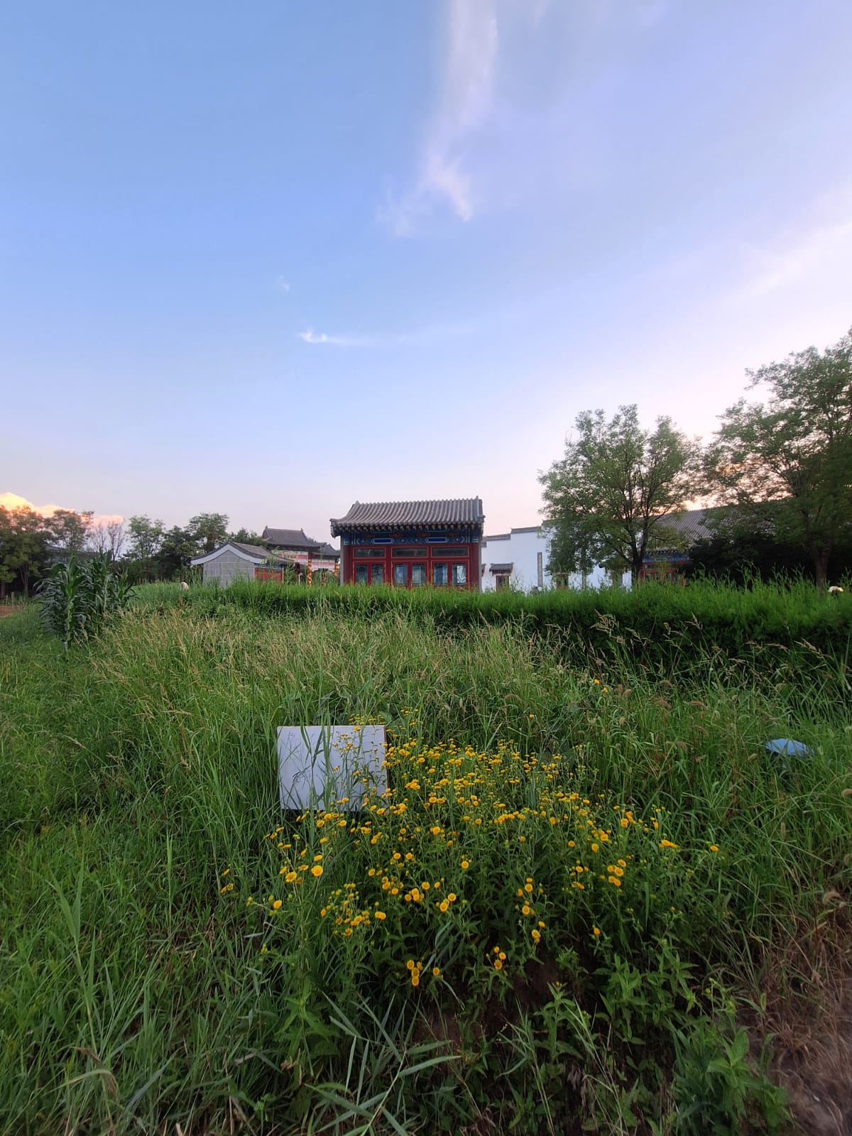 研究基地:傍晚的試驗田與田邊老屋,一年租期由這裡開始。