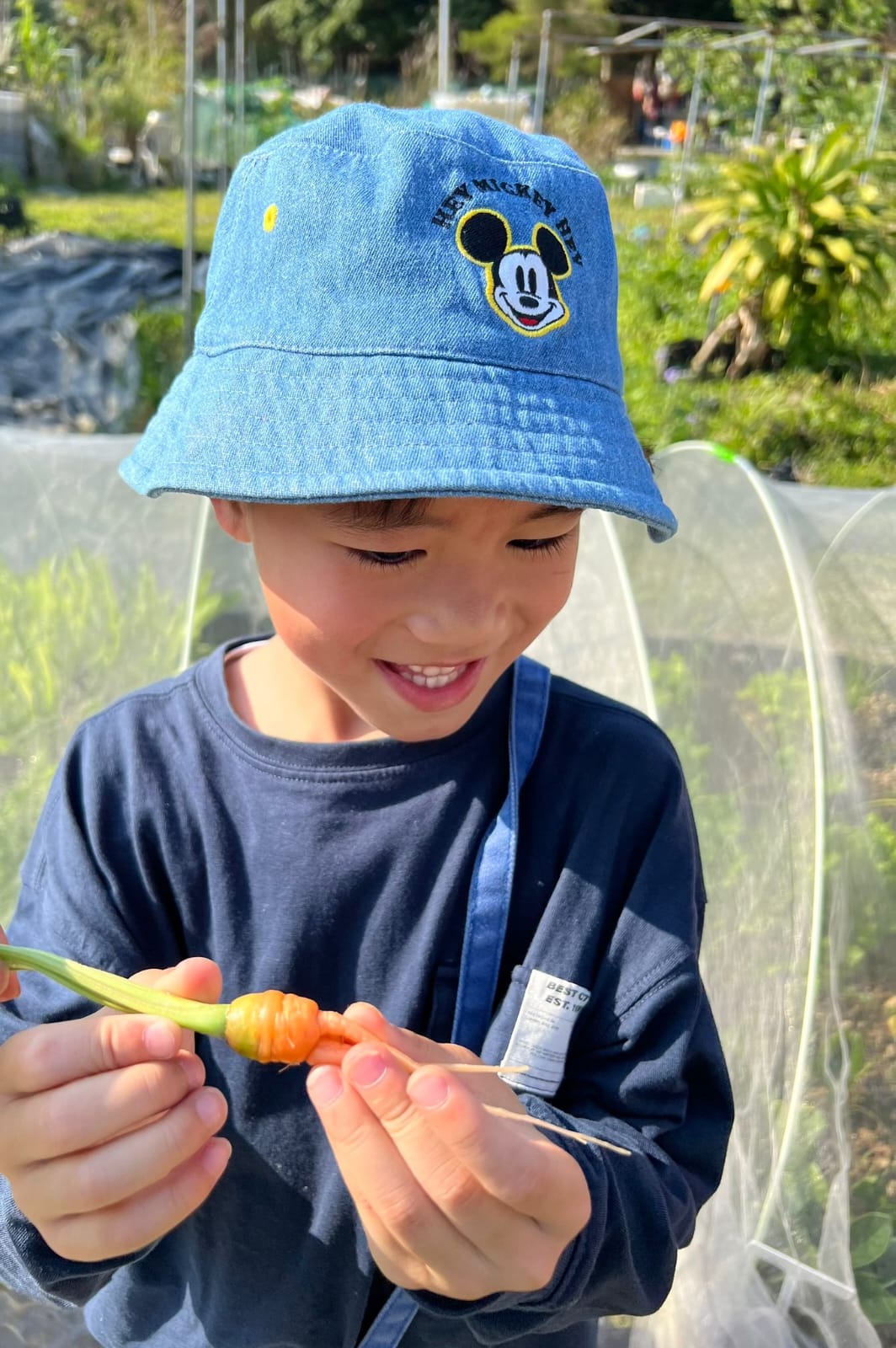 第一條紅蘿蔔:孩子拔出自己的第一條紅蘿蔔。