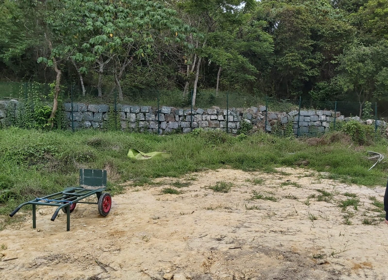 西貢農地裏的黏土荒地，石牆、綠樹與手推車，記錄著改良土壤前的起點