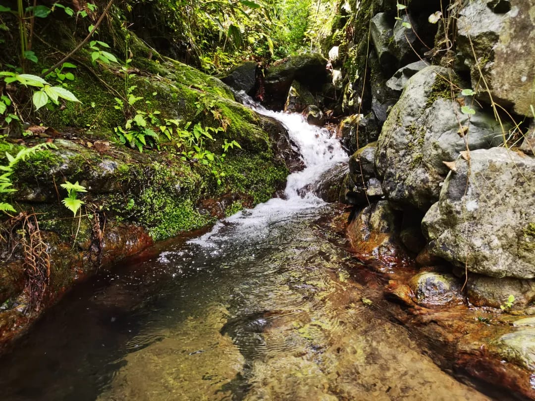 山澗清溪與青苔石