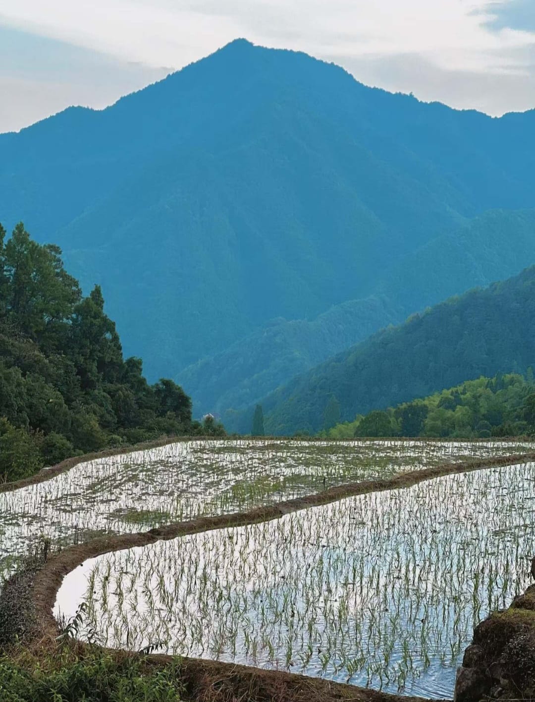群山下的水鏡梯田