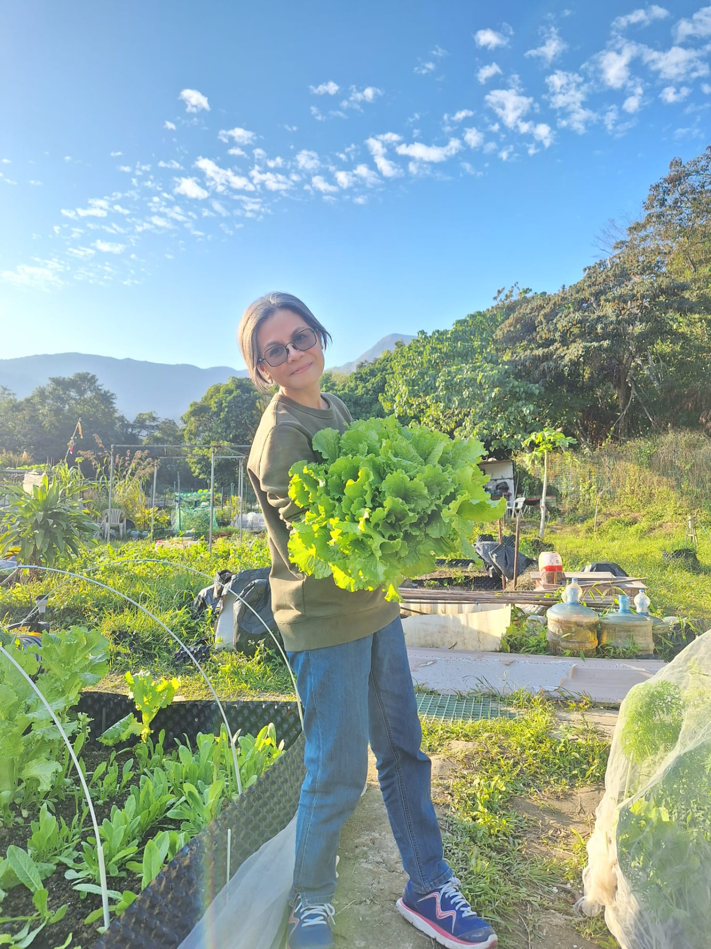 一棵超過臂長的生菜:土養得好,葉菜可以長到出乎意料的大。