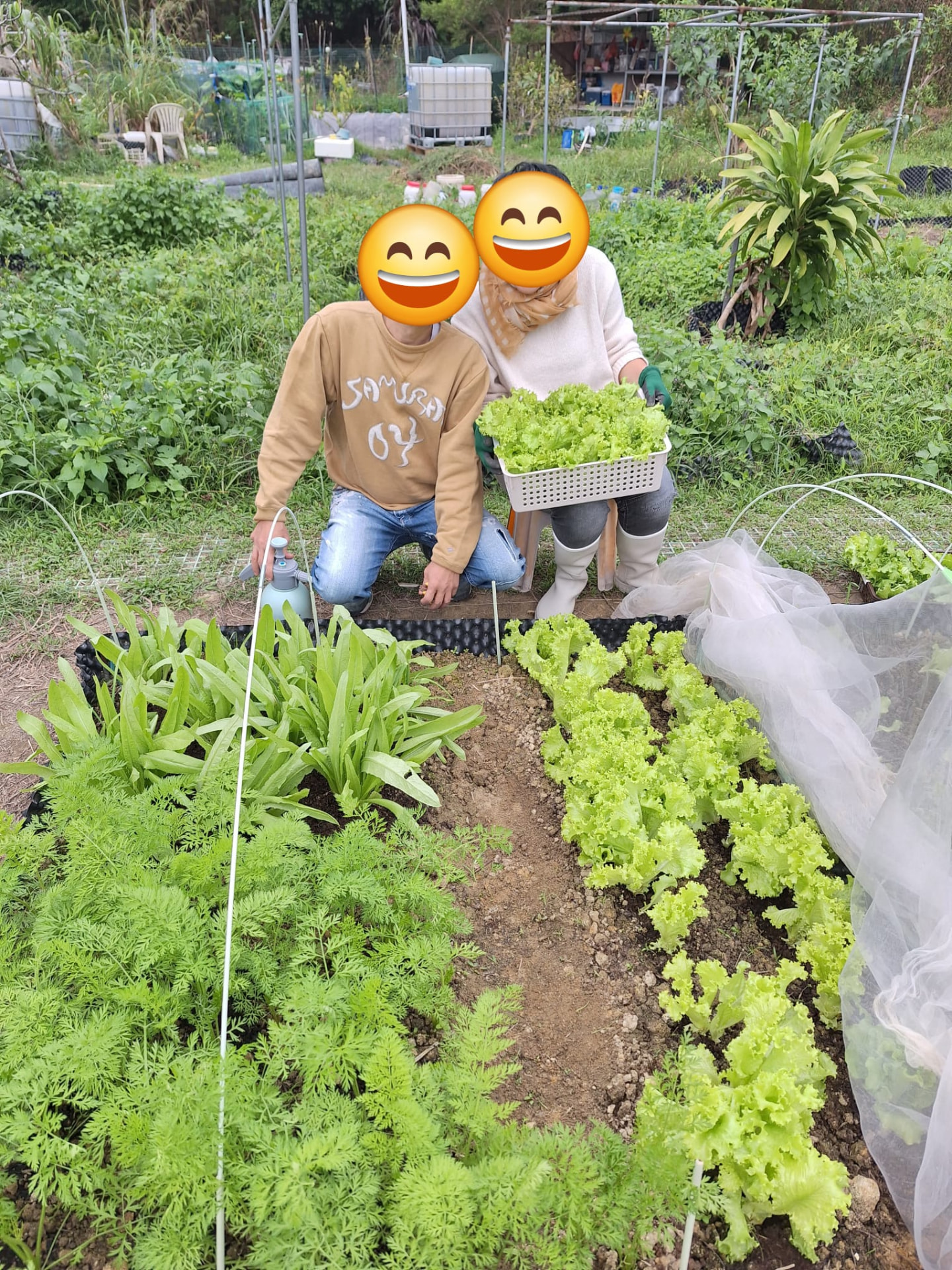 最後一次落田:一季完結前的合照,畦床已經準備翻土休養。